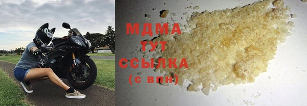 индика Горно-Алтайск