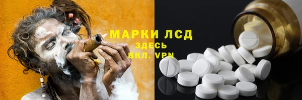 PSILOCYBIN Горнозаводск