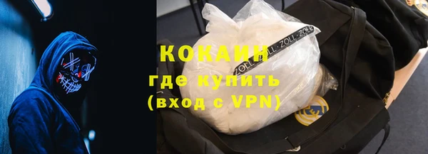 индика Горно-Алтайск