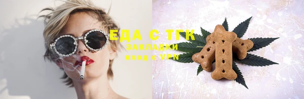 индика Янаул