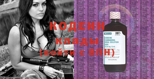 индика Янаул