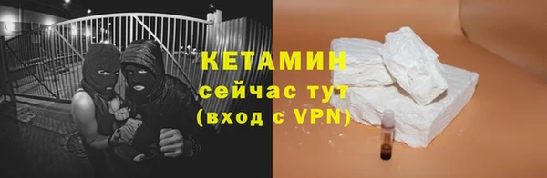 индика Горно-Алтайск