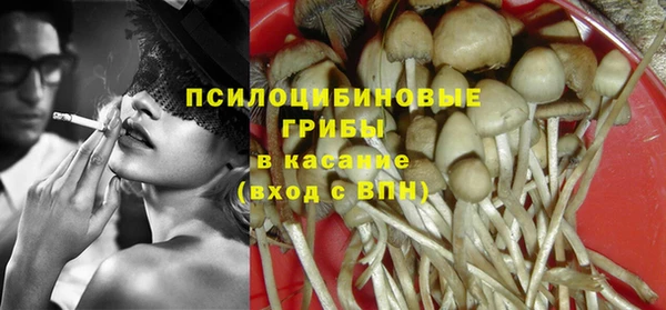 PSILOCYBIN Горнозаводск