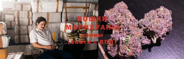PSILOCYBIN Горнозаводск