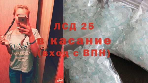 индика Горно-Алтайск