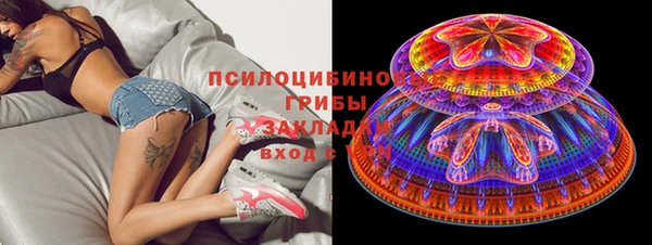 PSILOCYBIN Горнозаводск