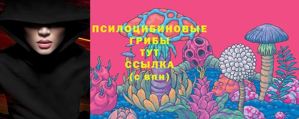 PSILOCYBIN Горнозаводск