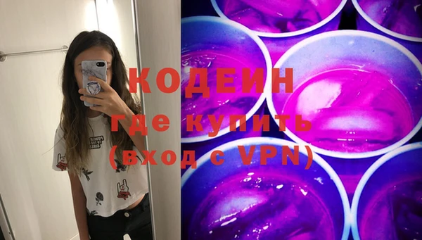 индика Горно-Алтайск