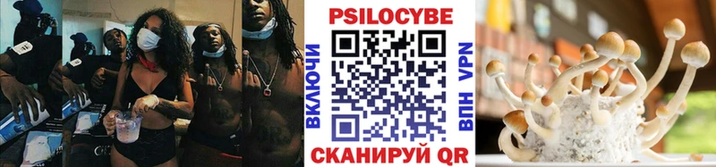 Псилоцибиновые грибы Psilocybe  Могоча 